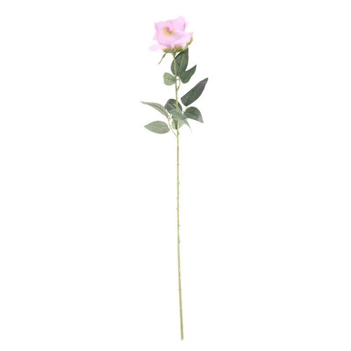 Arundel Rose Lavender Arundel Rose Lavender