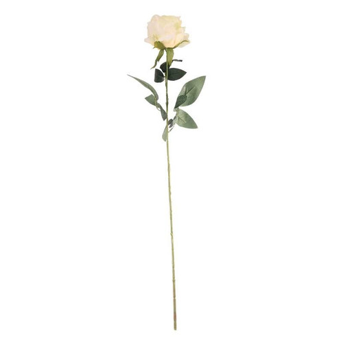 Yellow Arundel Rose Yellow Arundel Rose