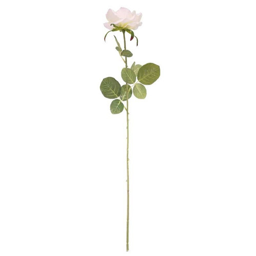 Arundel Open Rose Cream Arundel Open Rose Cream