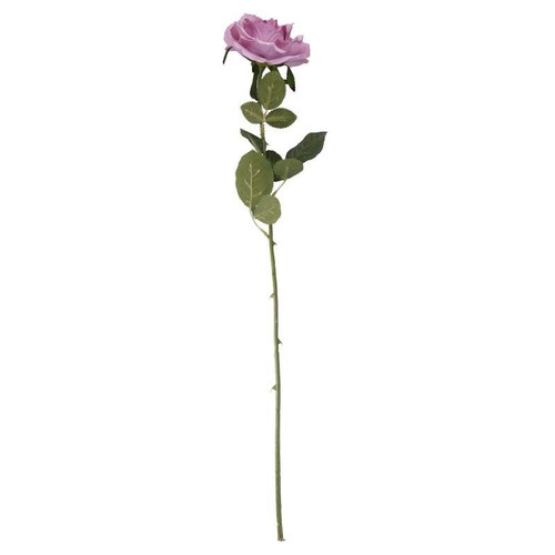 Arundel Open Rose Lavender Arundel Open Rose Lavender
