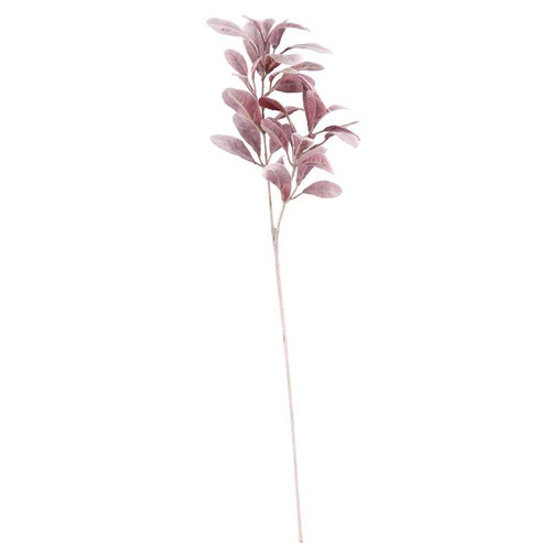 70cm Burgundy Lambs Ear 70cm Burgundy Lambs Ear