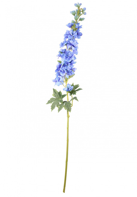 Blue Cottage Garden Delphinium Blue Cottage Garden Delphinium