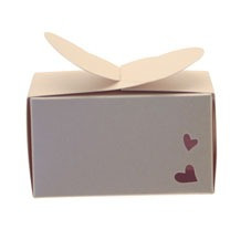 Ivory Rectangle Heart Favour Box (x5)