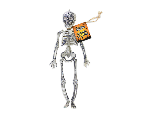 Halloween Hanging Skeleton Halloween Hanging Skeleton