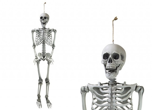 Hanging Skeleton Decoration (160cm)
