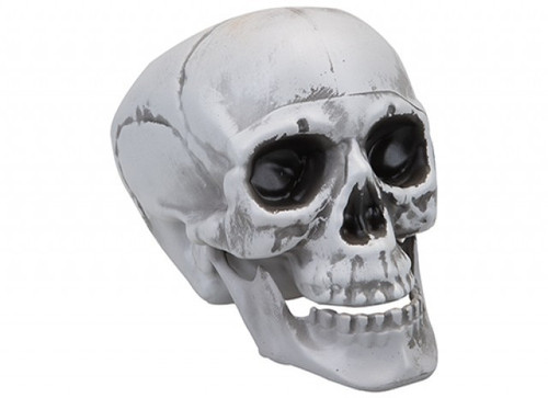 Large Skull Decoration with Moving Jaw