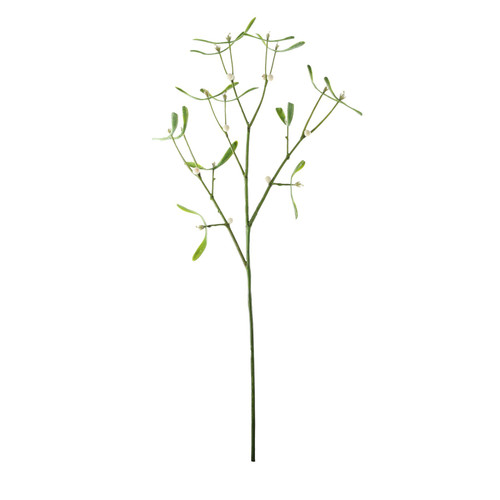 Green Mistletoe Sprig (60cm) Green Mistletoe Sprig (60cm)