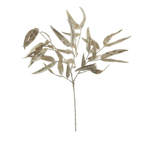 Champagne Sparkle Long Leaf Eucalyptus (72cm) Champagne Sparkle Long Leaf Eucalyptus (72cm)