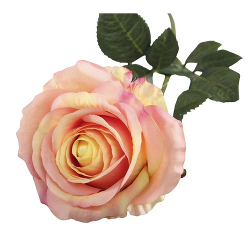 Small Camelot Open Rose Peach Small Camelot Open Rose Peach