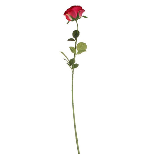 Small Camelot Open Rose Scarlet Red Small Camelot Open Rose Scarlet Red