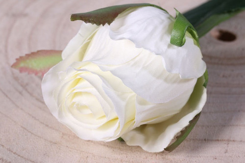 Small Rose Bud Cream Small Rose Bud Cream