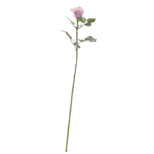 71cm Single Celia Rose Antique Pink 71cm Single Celia Rose Antique Pink