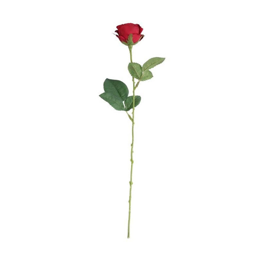 Buckingham Rose Red Buckingham Rose Red