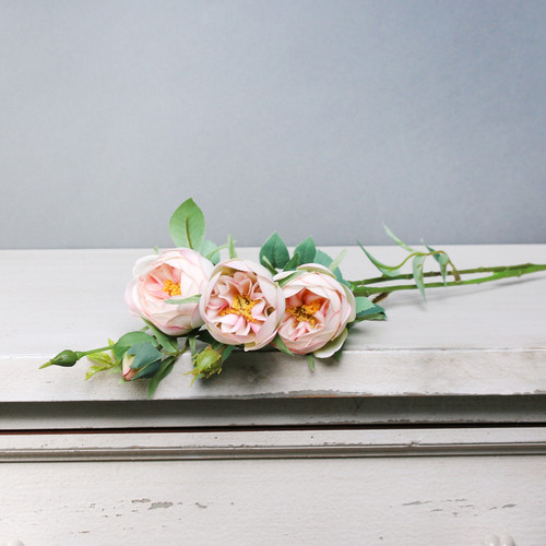 Tintagel Vintage Hedgerow Rose Light Pink Tintagel Vintage Hedgerow Rose Light Pink