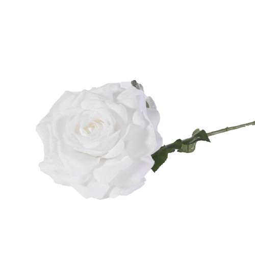 67cm Single Madonna Rose 67cm Single Madonna Rose