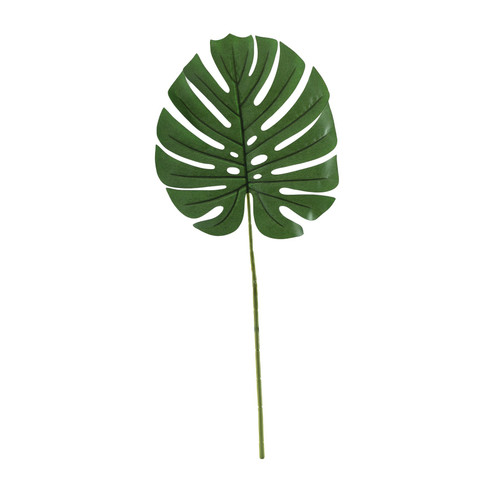 Essential Green Large Monstera Leaf Essential Green Large Monstera Leaf