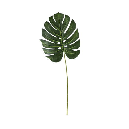 Essential Small Green Monstera Leaf Essential Small Green Monstera Leaf