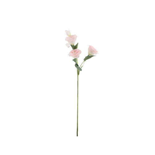 Essential Pink Lisianthus Essential Pink Lisianthus