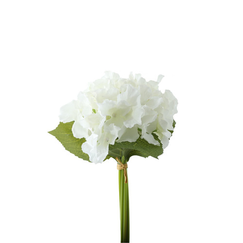Essential White Hydrangea Bouquet Essential White Hydrangea Bouquet