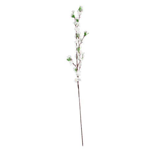 Essential White Blossom Essential White Blossom