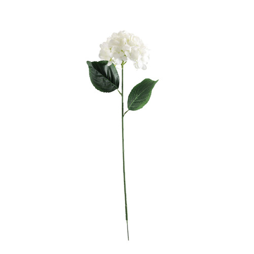 Essential White Hydrangea 