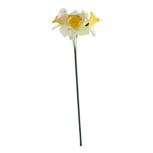 Essential White Mini Daffodil (3 Heads) Essential White Mini Daffodil (3 Heads)