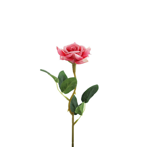 Essential Dark Pink Rose Essential Dark Pink Rose