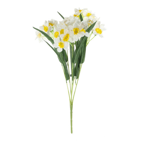 Essential White Narcissus Bush with Leaves Essential White Narcissus Bush with Leaves