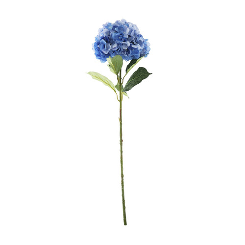 Essential Dark Blue Giant Hydrangea Essential Dark Blue Giant Hydrangea