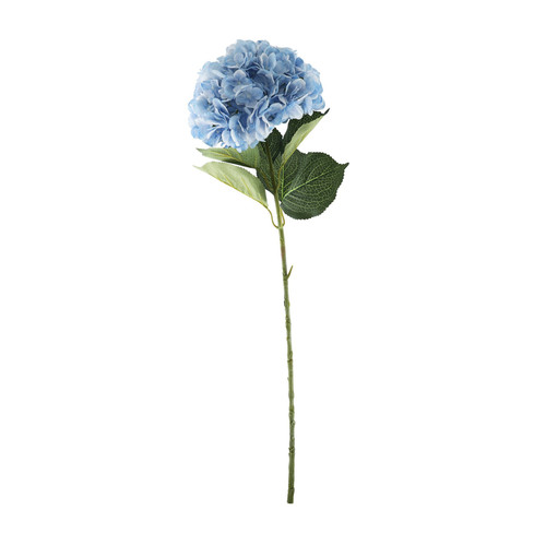 Essential Light Blue Giant Hydrangea Essential Light Blue Giant Hydrangea