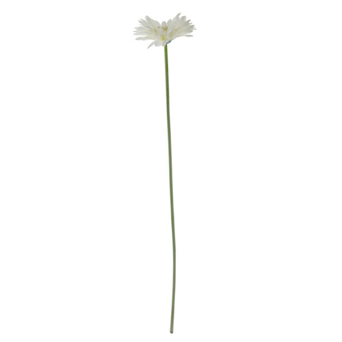 Essential White Gerbera Essential White Gerbera