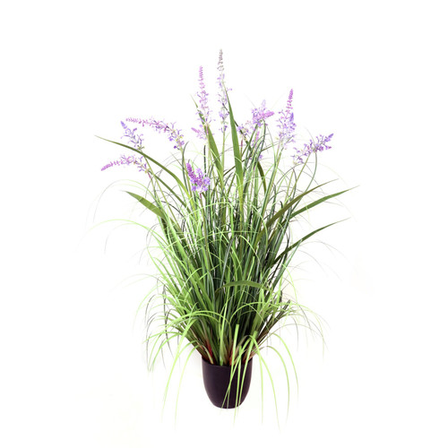 Potted Lavender Grass (106cm) Potted Lavender Grass (106cm)