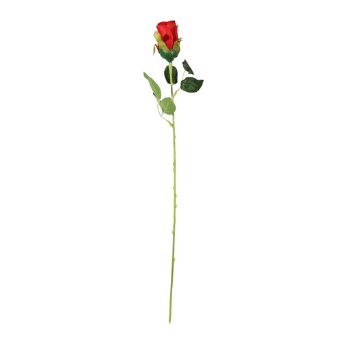 Essential Red Rose Bud