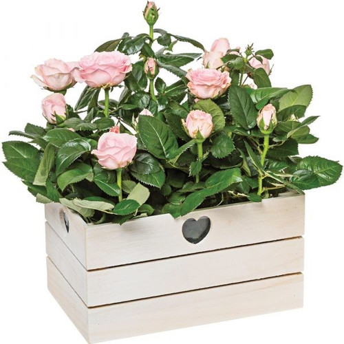 White Wash Keepsake Box