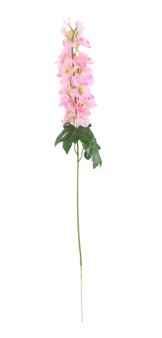 Essential Pink Arundel Garden Delphinium (77cm)