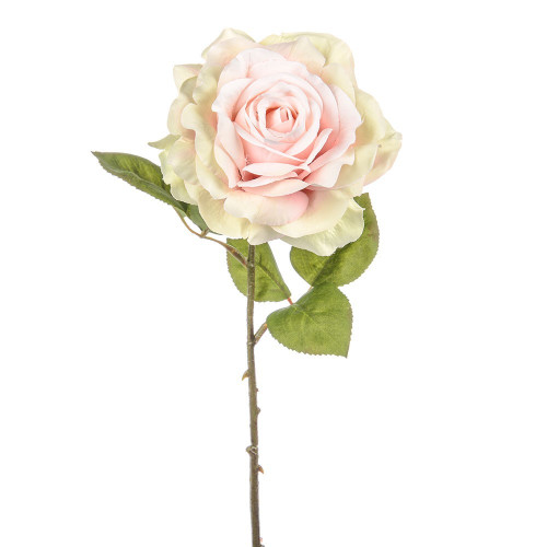 Pink Dawn Rose (45cm)