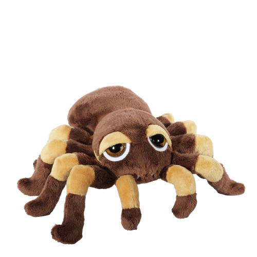 Suki - Medium Brown & Beige Tarantula Spider