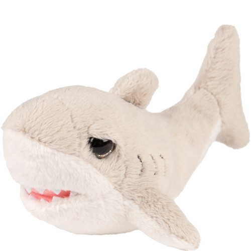 Suki - Small Flossy Shark