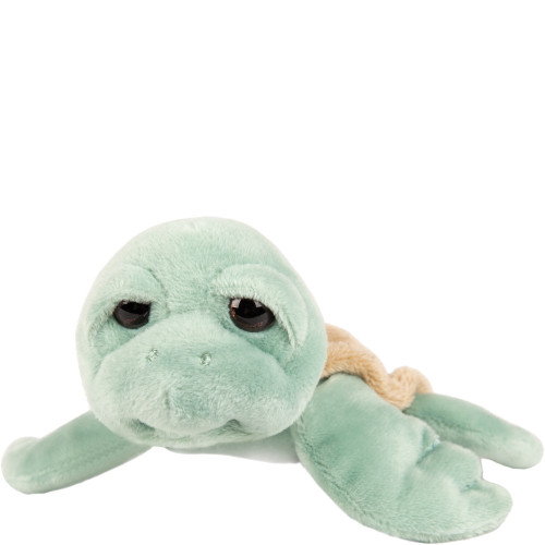Suki - Small Caspian Turtle