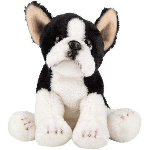 Suki - Small Sitting Realistic Dog - Boston Terrier