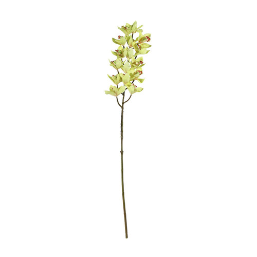 Yellow Cymbidium Orchid Spray (80cm)