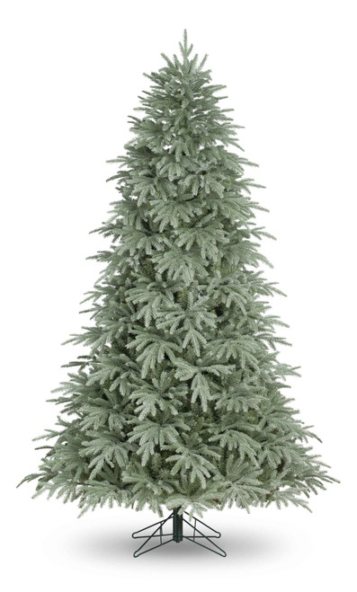 Timberline Pine Tree (1152 Tips) (6ft)