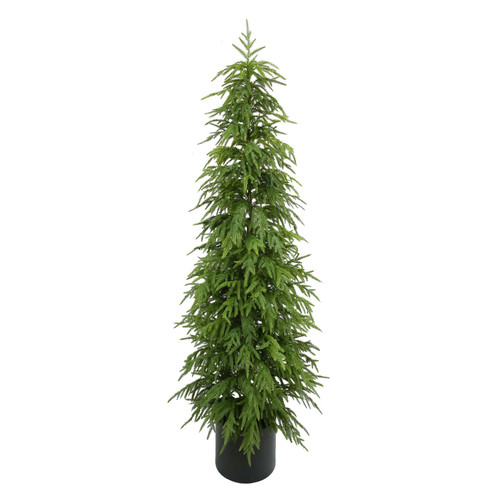 Green Pine Tree Potted (183cm)