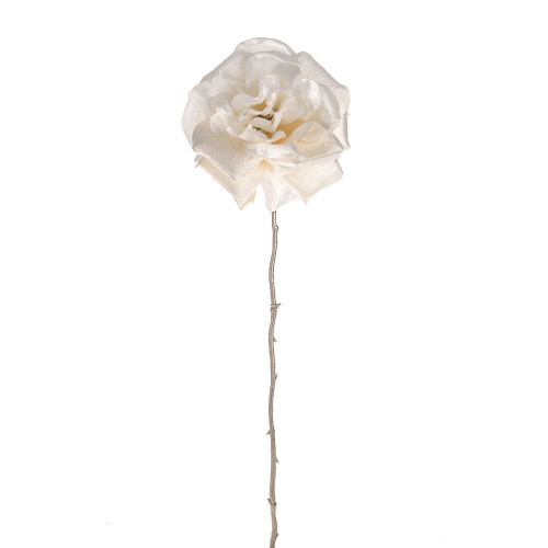 Cream Single Open Rose (56cm)