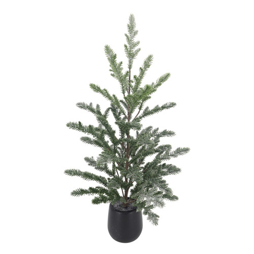 Green Frosted Pine Tree in Black Pot (58cm)