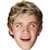 One Direction Party Niall Horan Mask