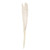 Bleached Pampas Grass (Pack of 5 Stems)