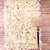 Cream Hydrangea Flower Wall Bundle (2m x 3m)