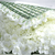 White Hydrangea Flower Wall Bundle (2 x 3M)