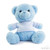 Blue Teddy Bear with T Shirt (25cm)